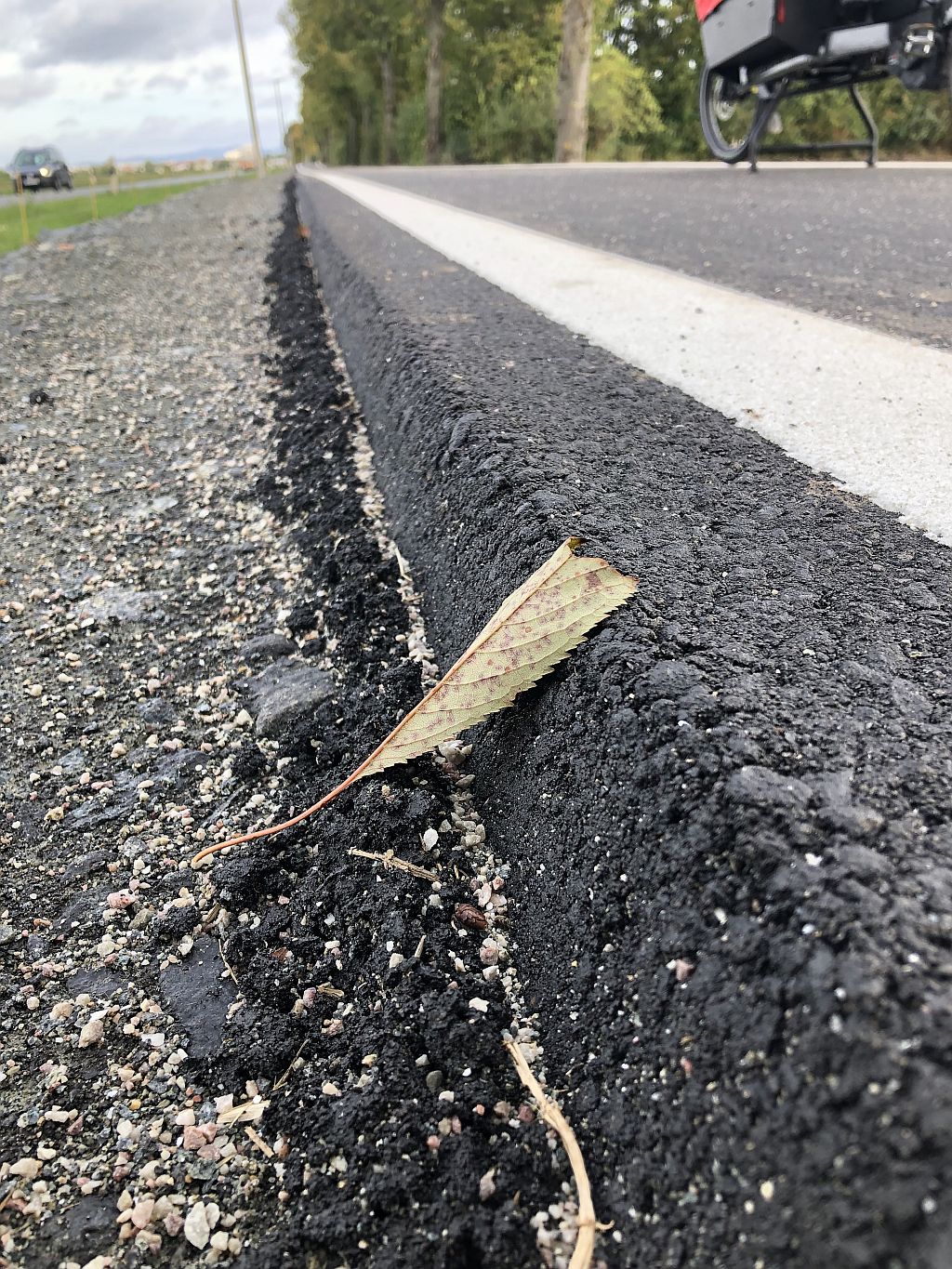 Hohe Kante am Radweg nach Dornheim Hohe Kante am Radweg nach Dornheim